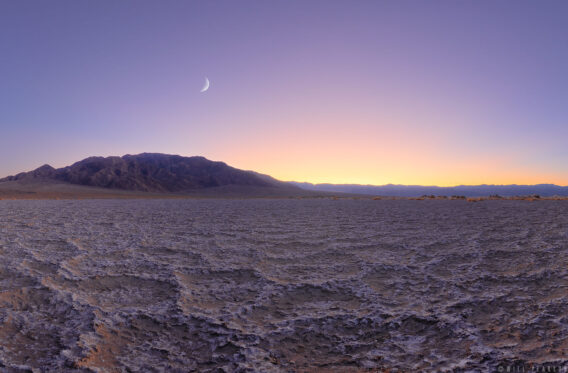 The Devil’s Cornfield, Death Valley