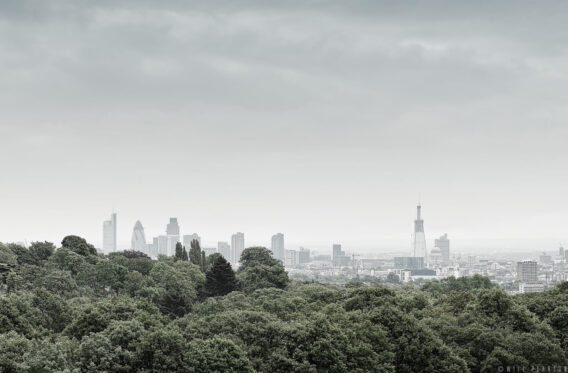 Hampstead Heath Views – London Panorama