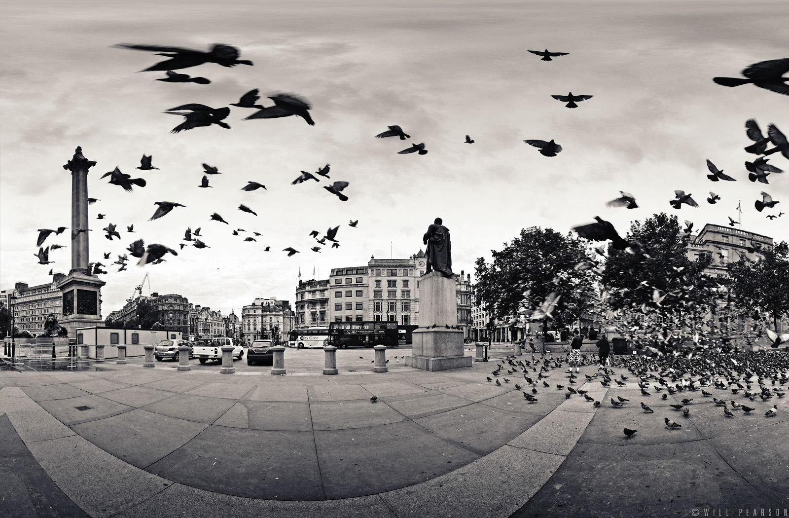 The Birds, Trafalgar Square