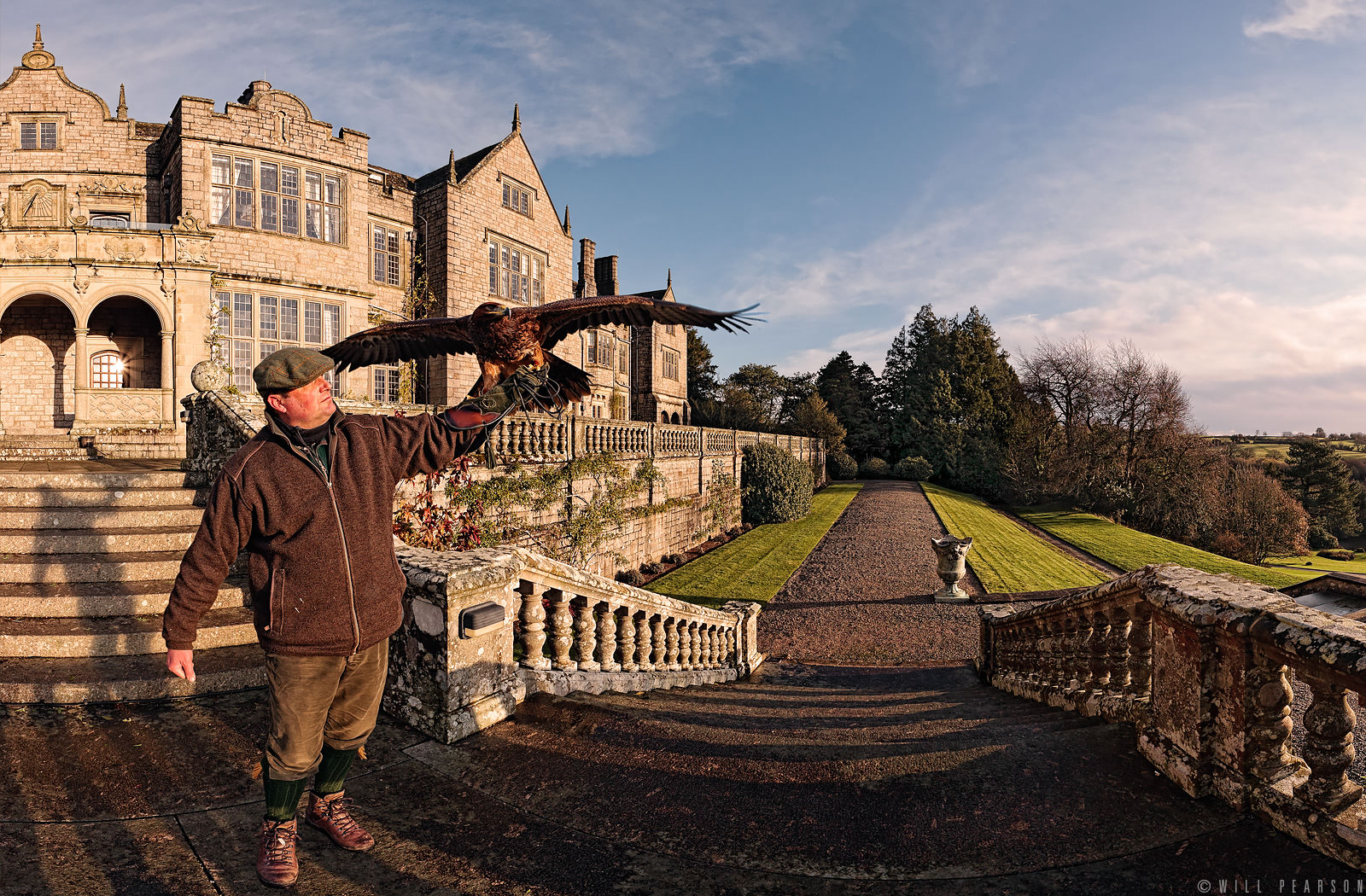 Artemis the Eagle at Bovey Castle