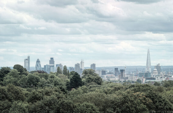 Hampstead Heath View 2012