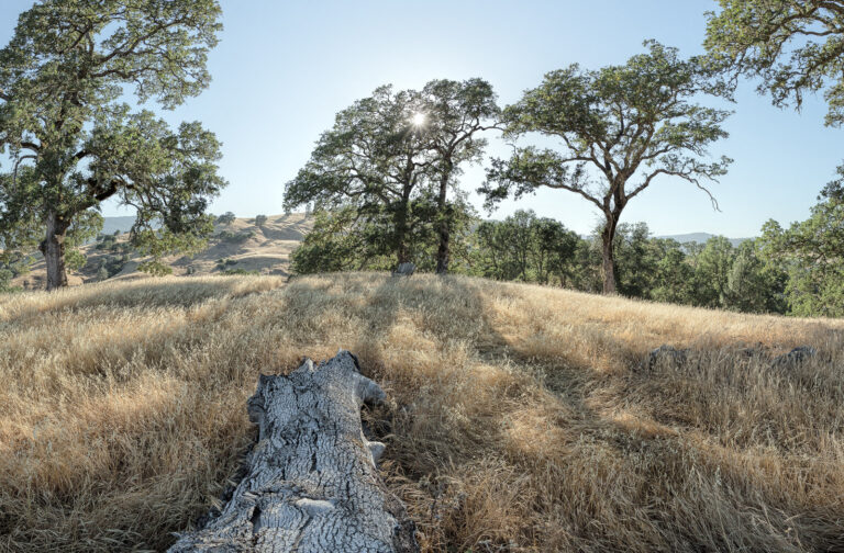 Pope Valley, Napa