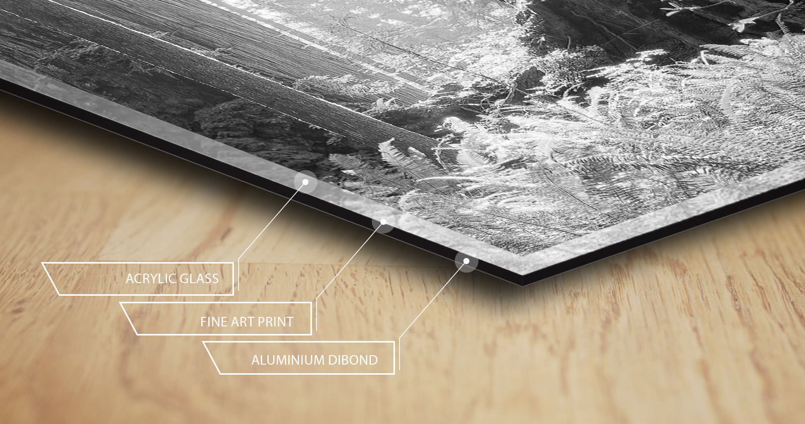 Cross-section of the acrylic print: acrylic glass, fine art print, aluminium Dibond