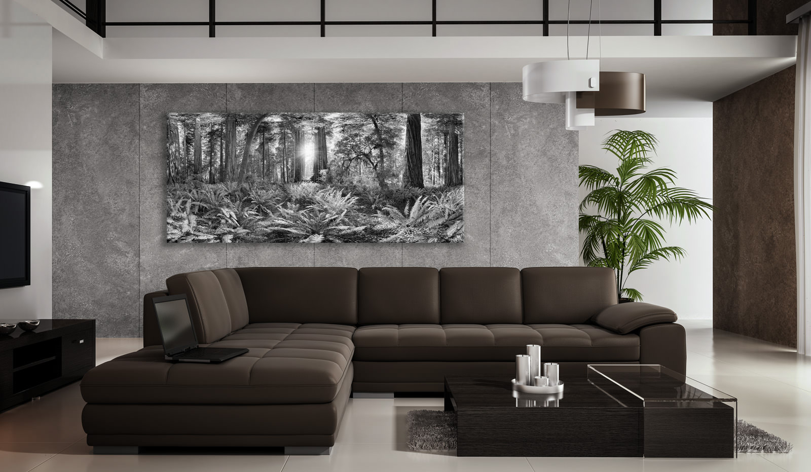 A large acrylic print of Redwoods in a room setting