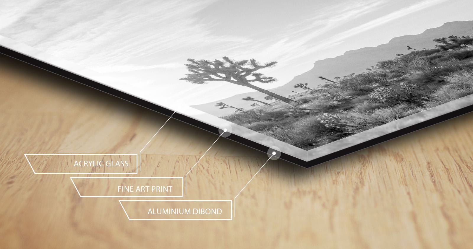 Cross-section of the acrylic print: acrylic glass, fine art print, aluminium Dibond