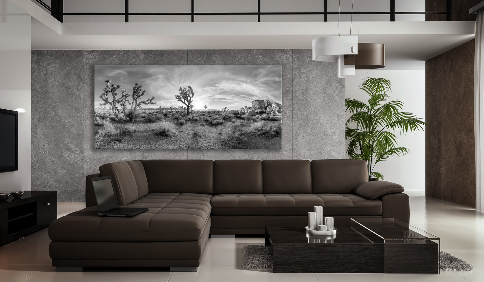 A large acrylic print of Joshua Tree in a room setting