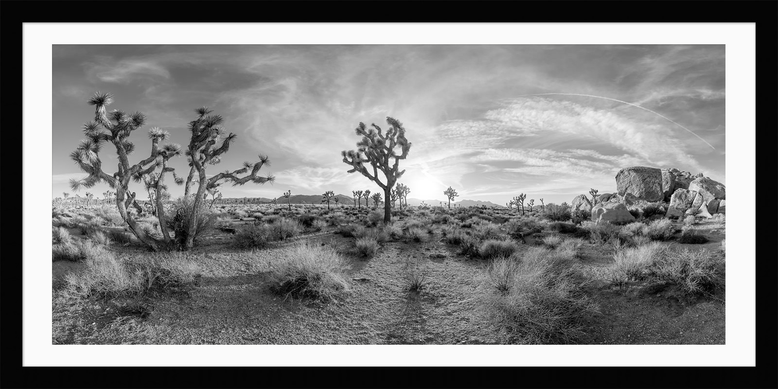 The framed print of Joshua Tree