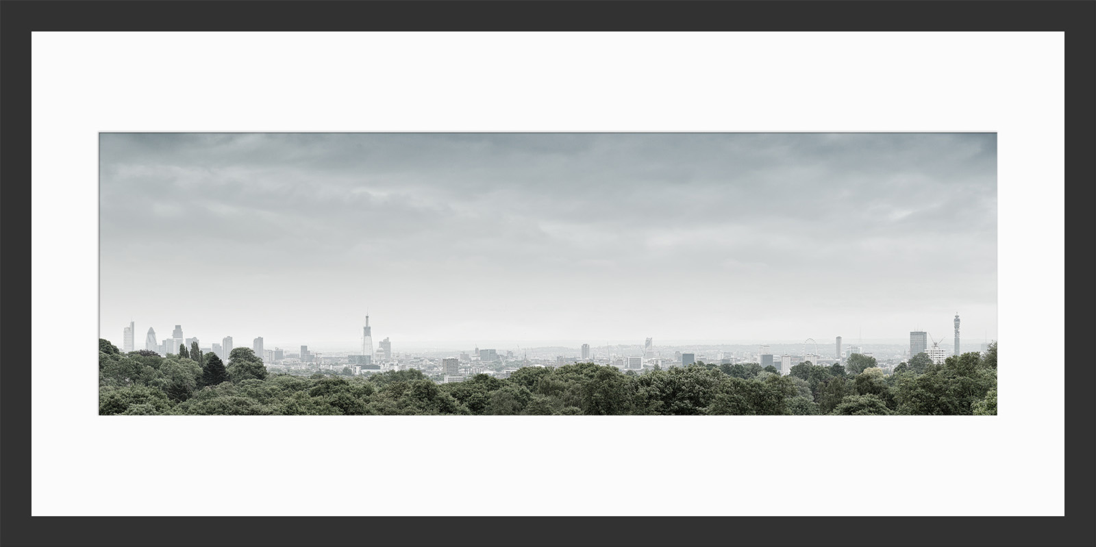 The framed print of Hampstead Heath 2011