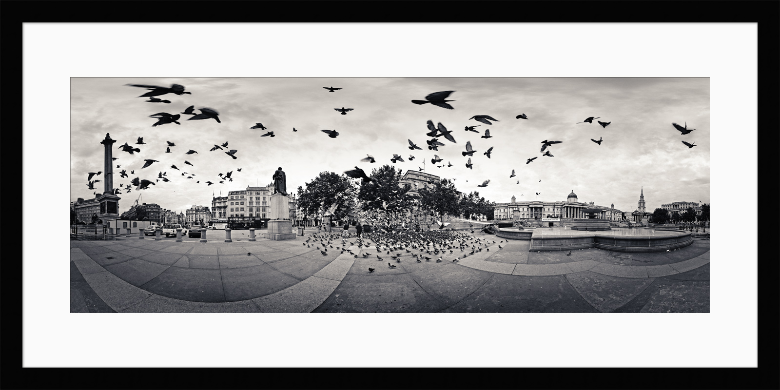 The framed print of The Birds